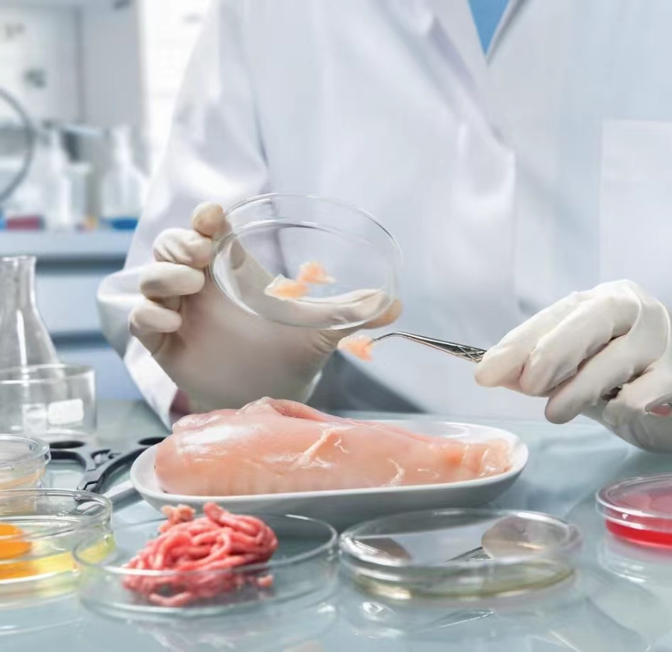 精准营养递送关键技术及靶向健康未来食品制造产业化